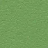 Light green leather texture with a granular, pebbled pattern; matte finish, consistent surface, labeled “bross > leather > col. 223.”